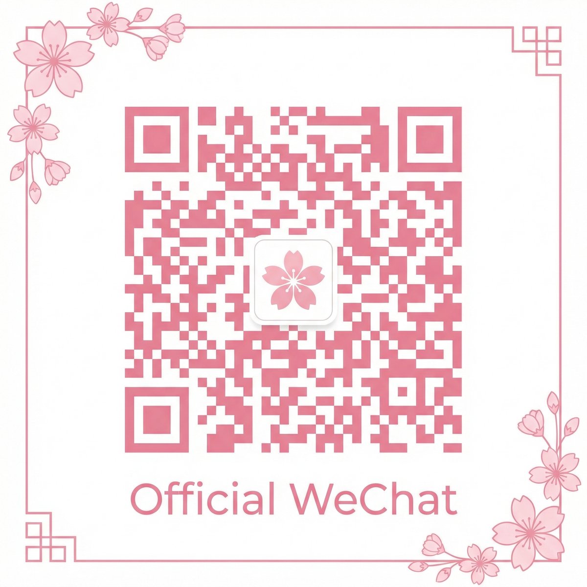 黑丝公众号二维码